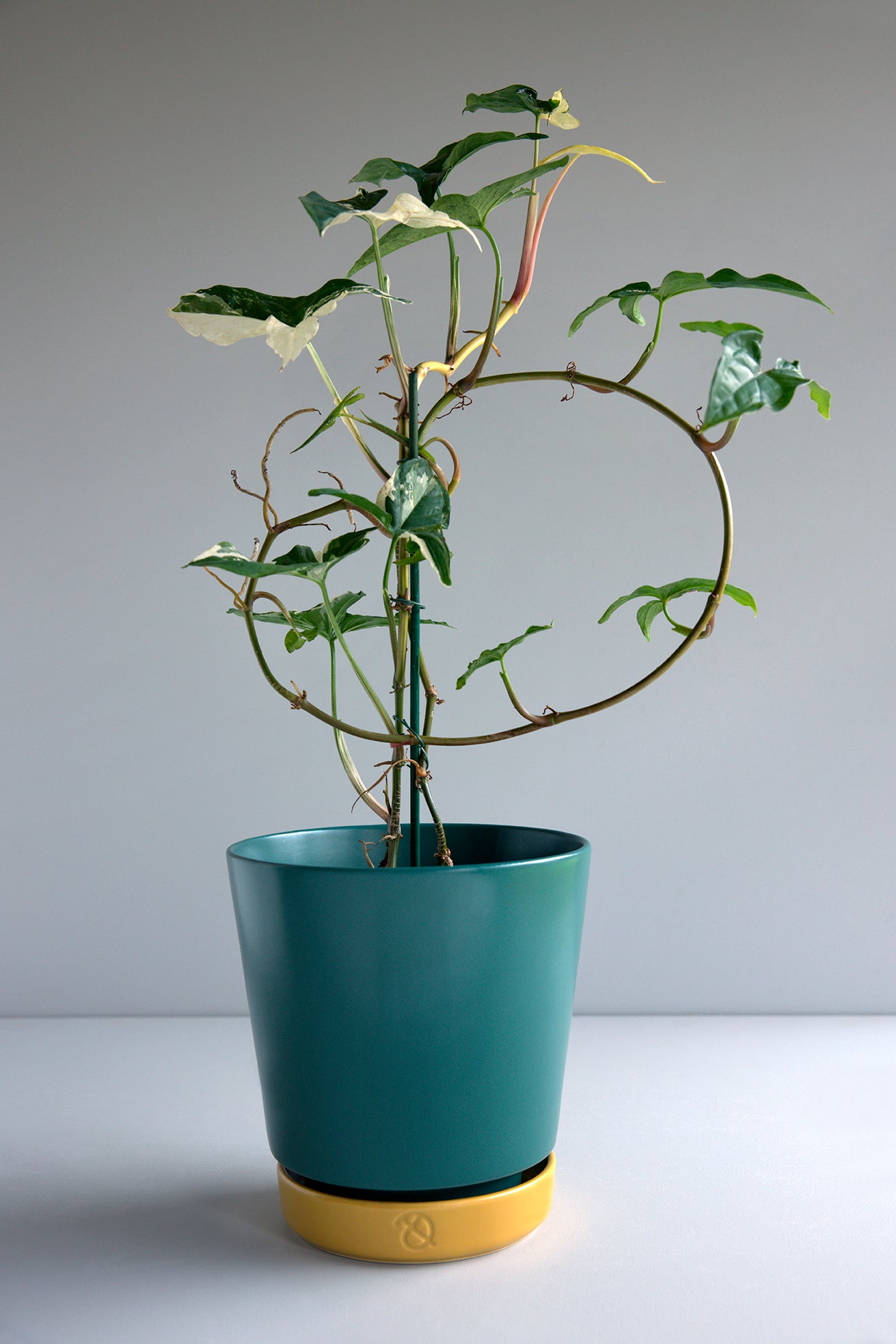 Clay Play Stoneware Flower Pot Ø21 H21 - Green Pine