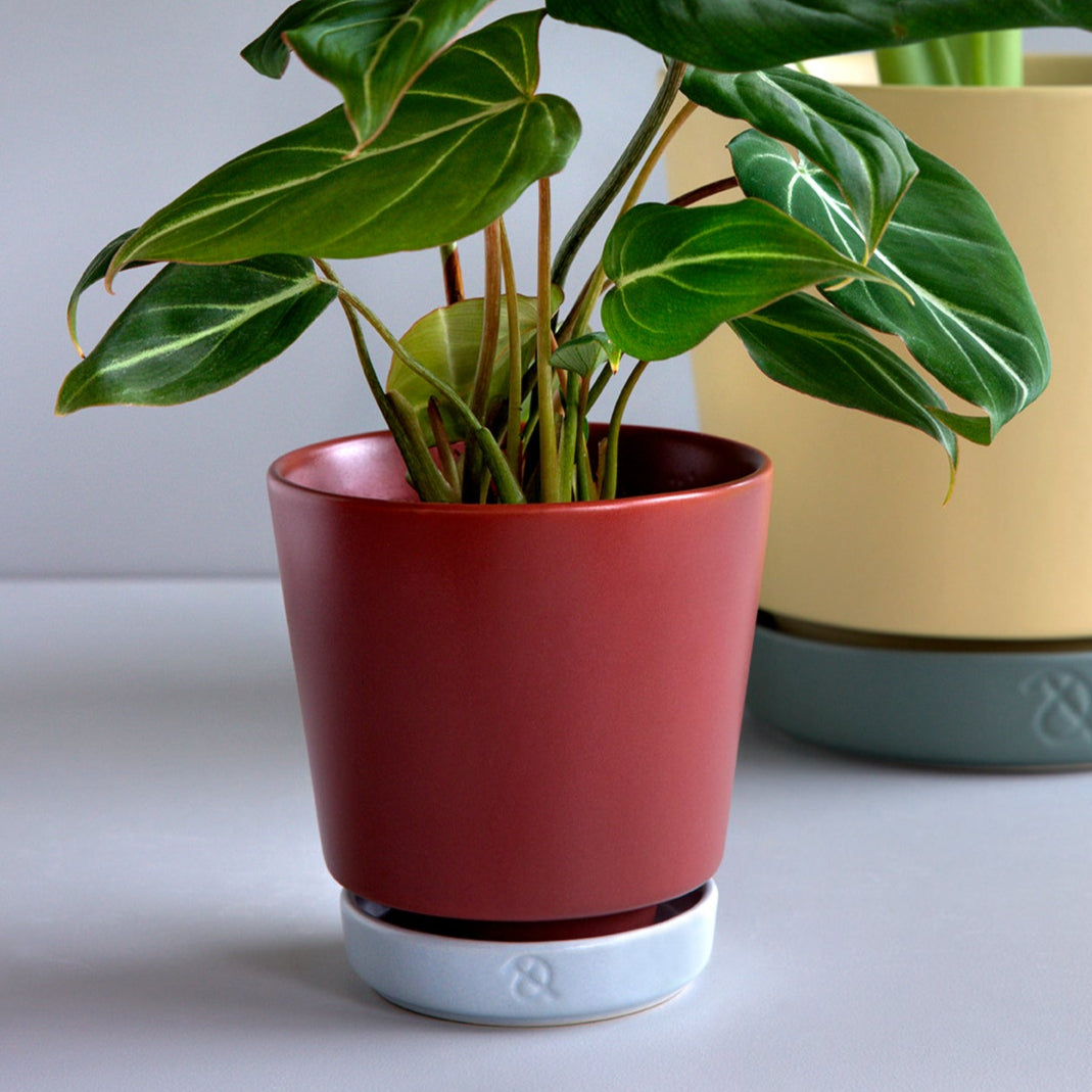 Clay Play Stoneware Flower Pots by &CPH