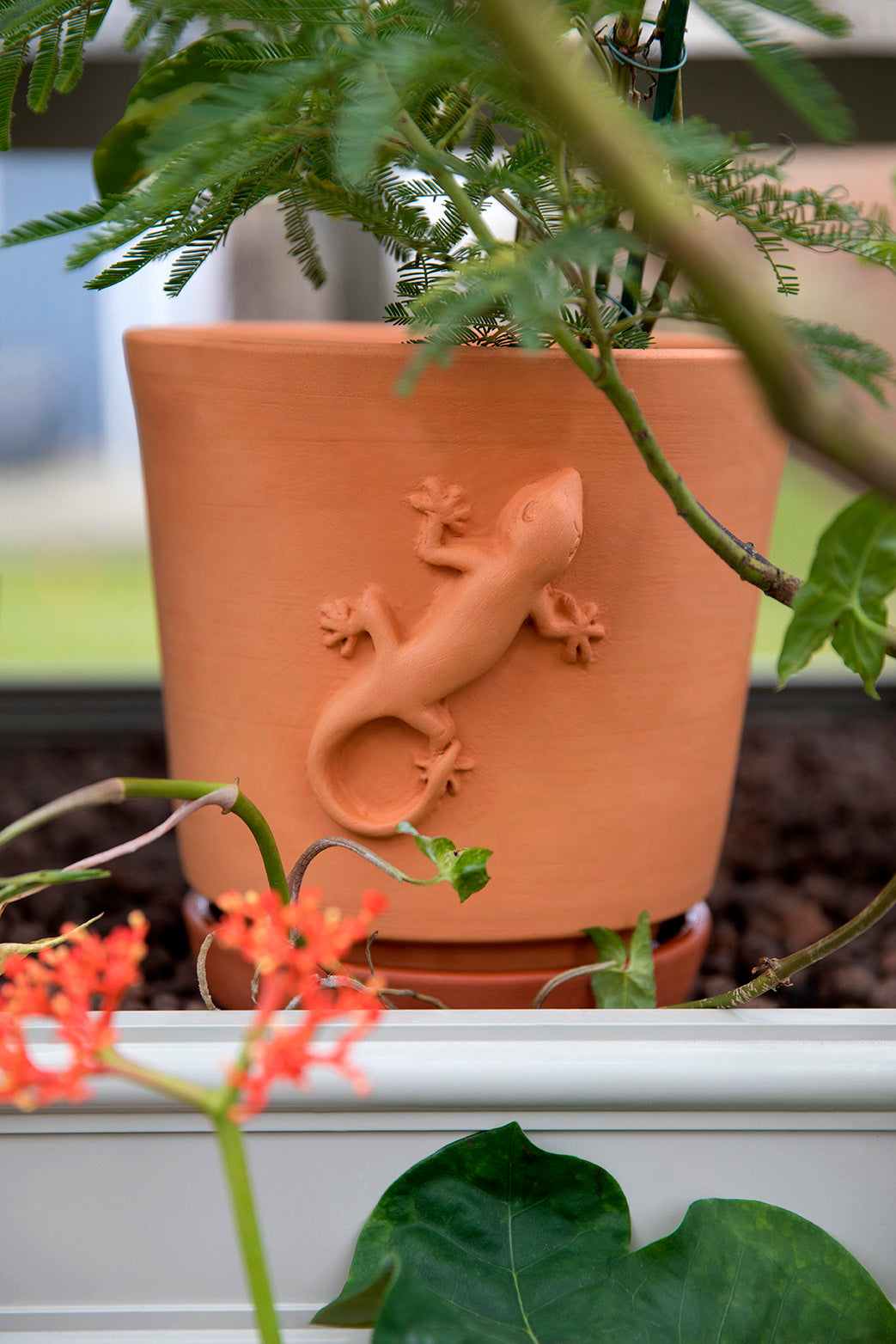 close up on terracotta pot with a small animal (lizard) sculpted on the side.