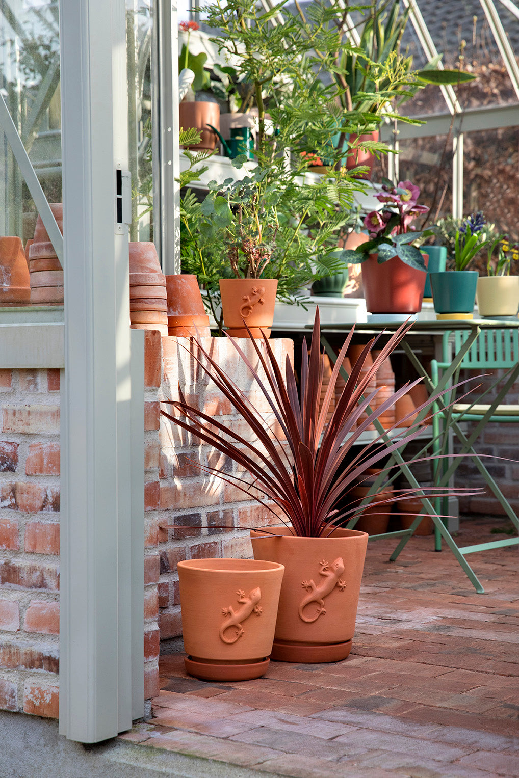 Nice Greenhouse with Lazy Lizard Terracotta Flower Pots and plants