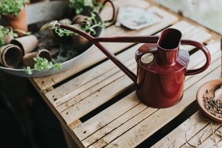 HAWS The Rowley Ripple 2 Liter - Burgundy watering can on a wooden table with plants in the background