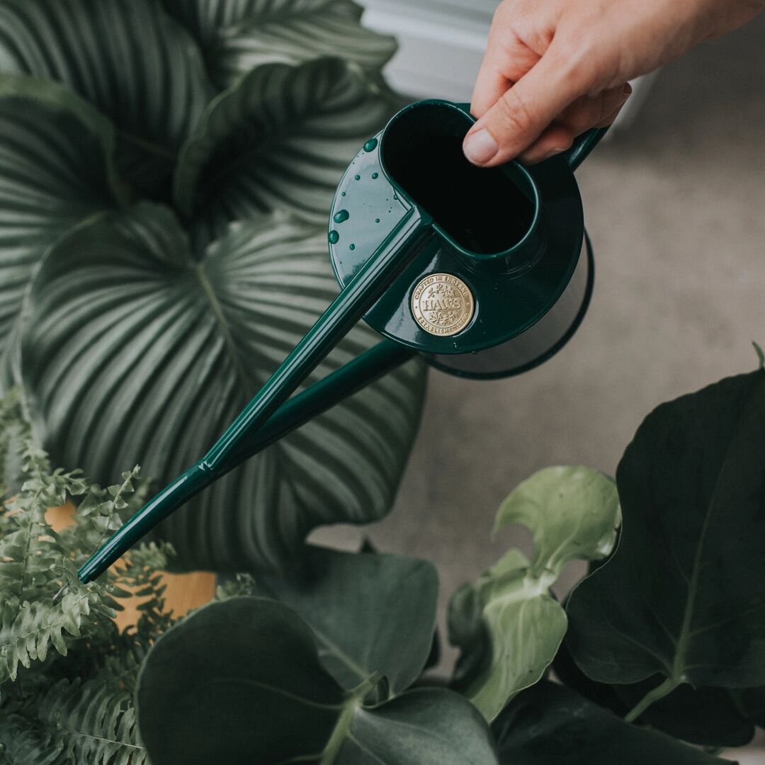 HAWS watering can