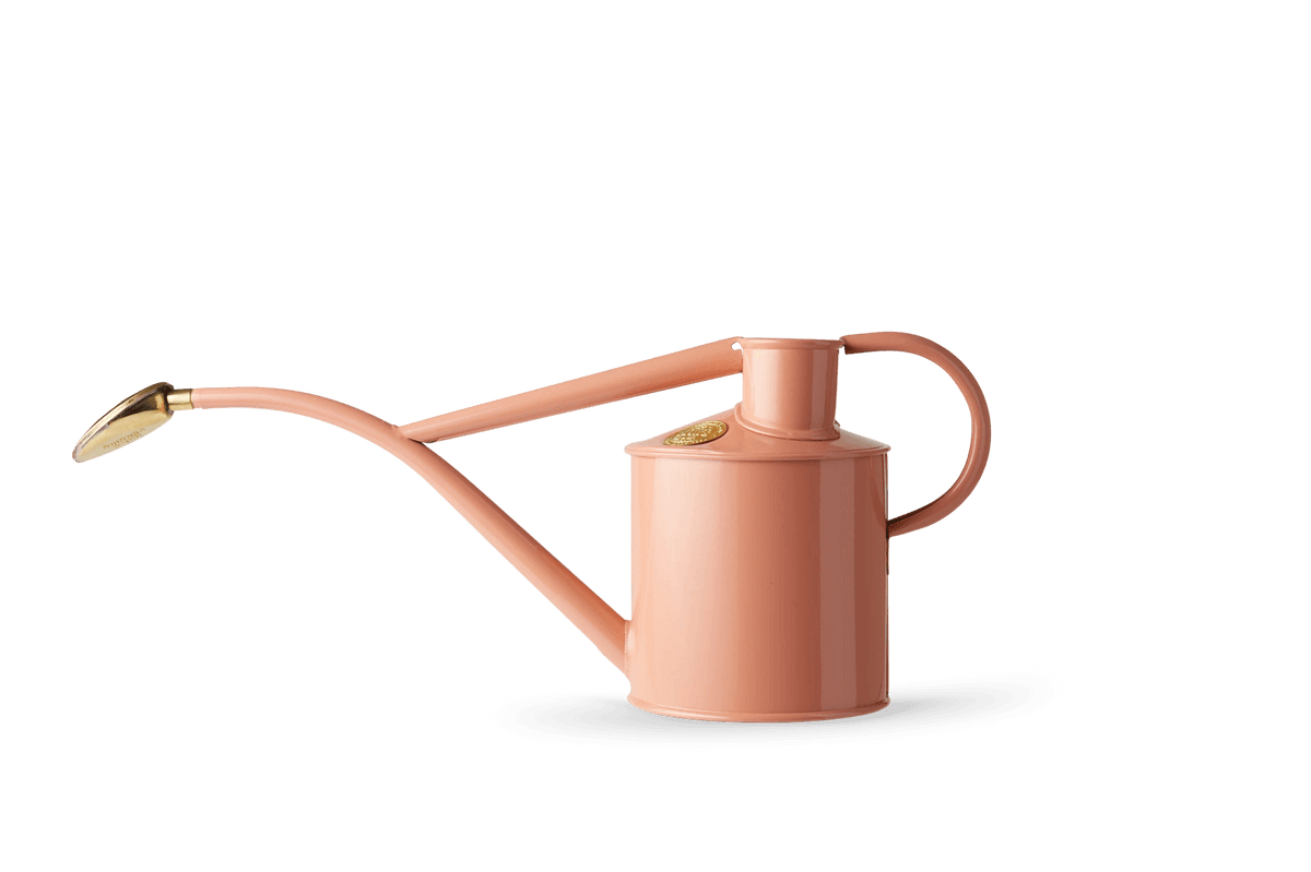 HAWS The Rowley Ripple 1 Litre - Pink Klay, Steel