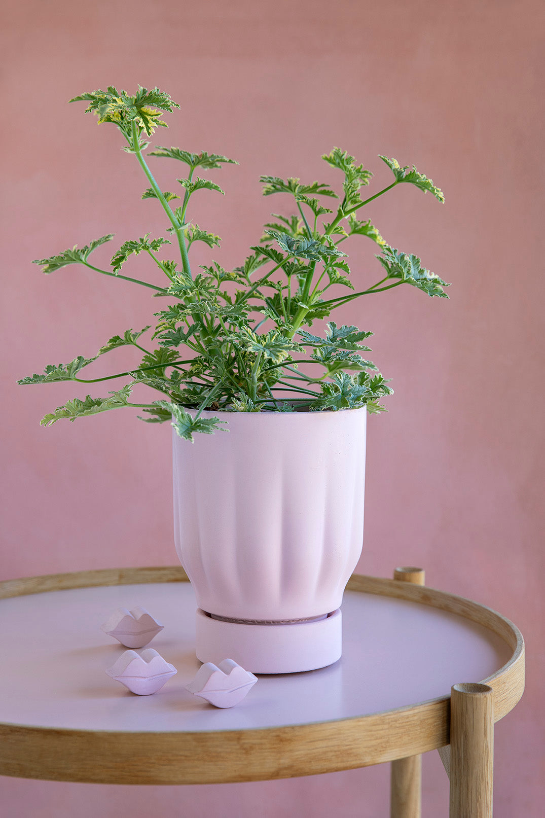 Raw Matter Silk Concrete Flower Pot Ø25 H33 - Candy Floss
