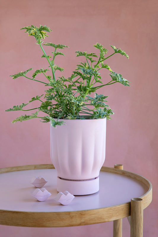 Raw Matter Silk Concrete Flower Pot Ø25 H33 - Candy Floss