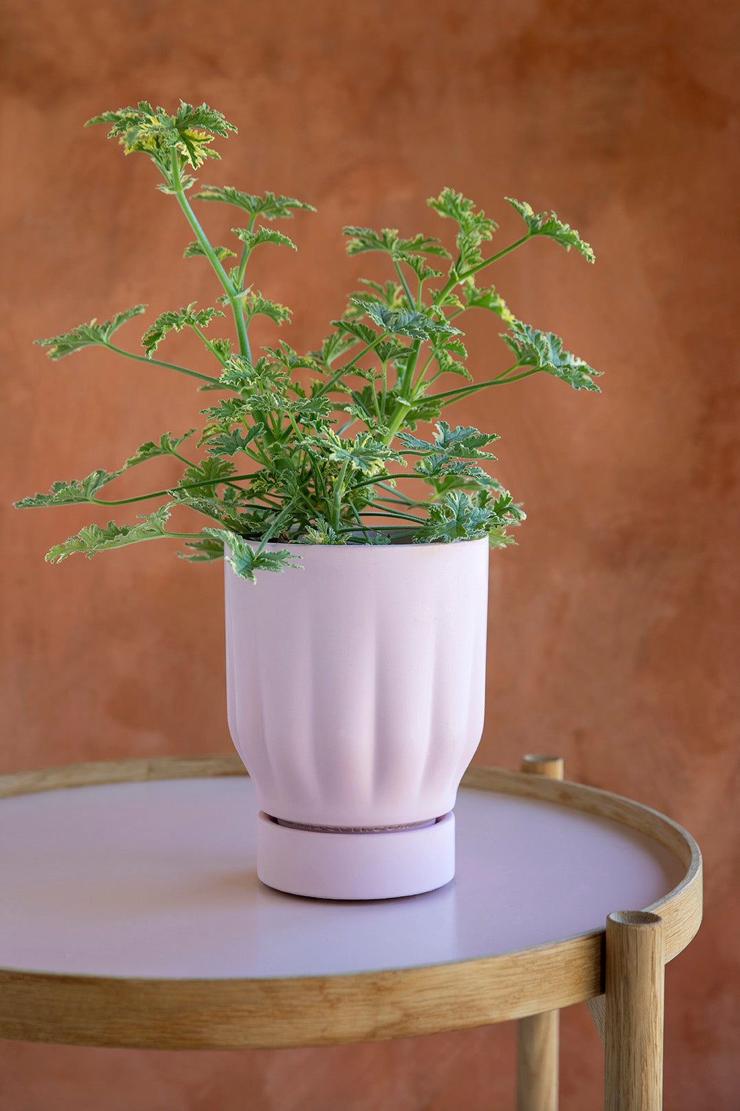 Raw Matter Silk Concrete Flower Pot Ø25 H33 - Candy Floss
