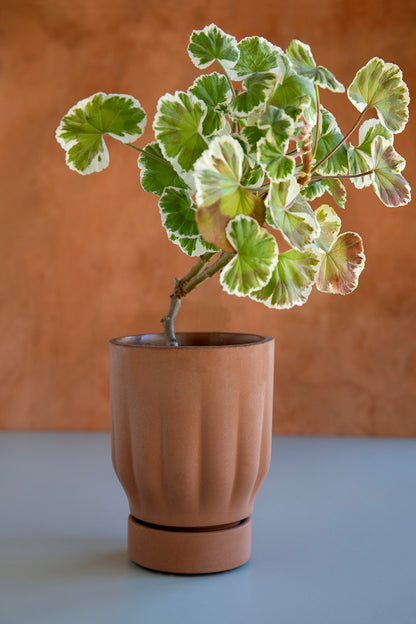 Raw Matter Silk Concrete Flower Pot Ø21 H28 - Candy Floss