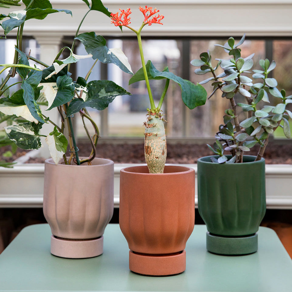 Raw Matter Silk Concrete Flower Pots by &CPH