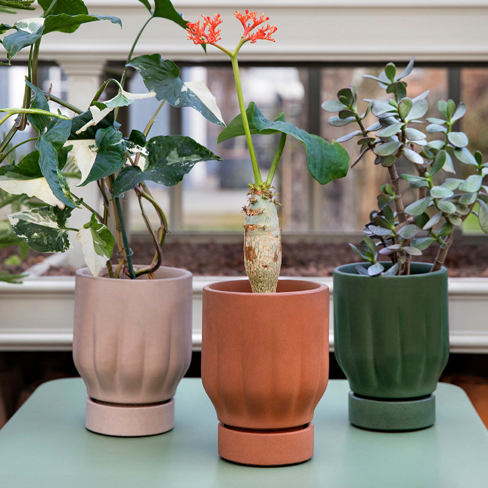 Raw Matter - Flower Pot