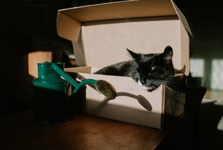 HAWS The Rowley Ripple 1 Litre - Green, Steel