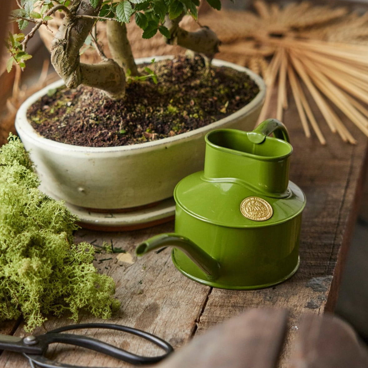 Haws Outdoor Watering Cans – AndCPH