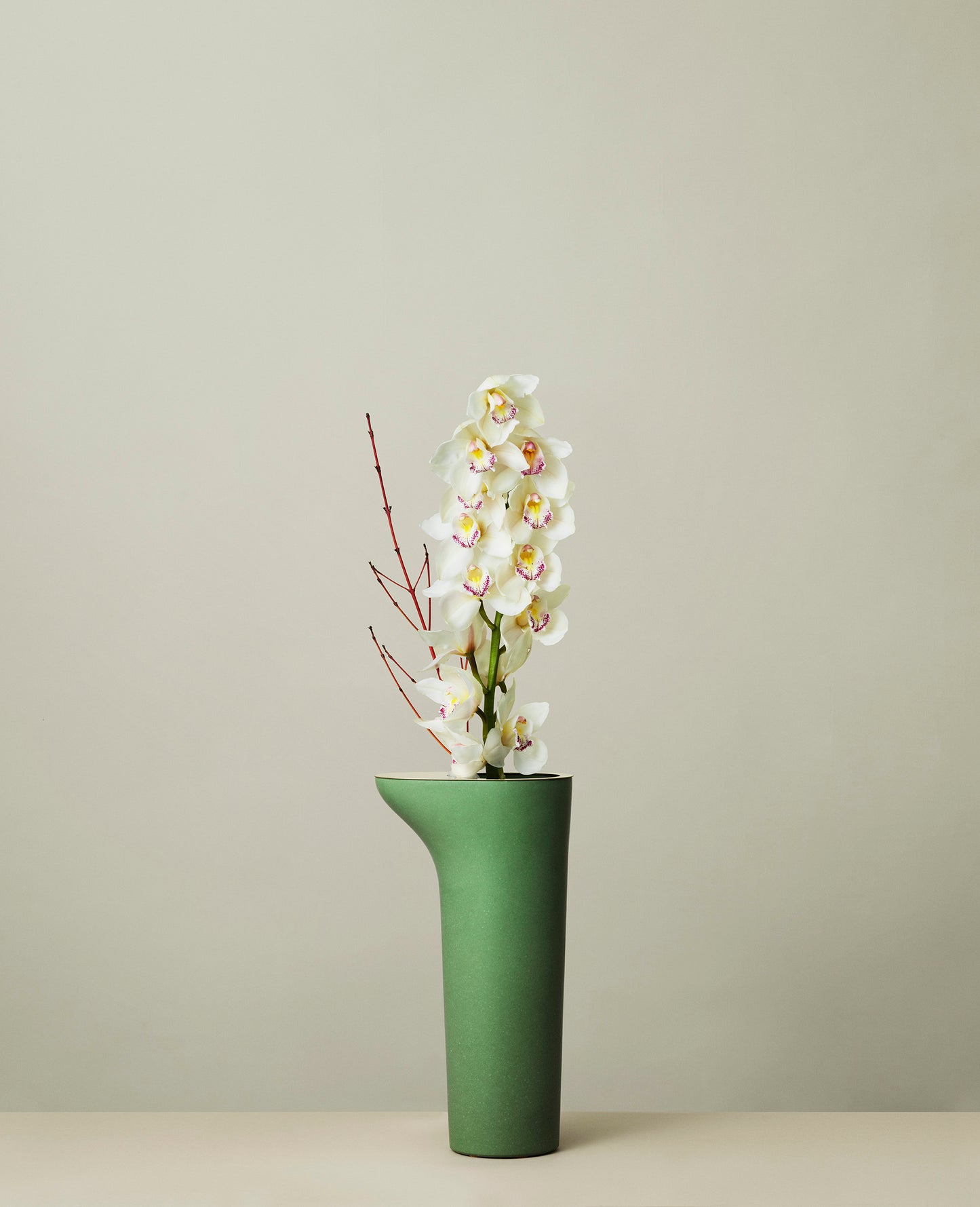 Rocky Root - Flower Table - Olive Skin