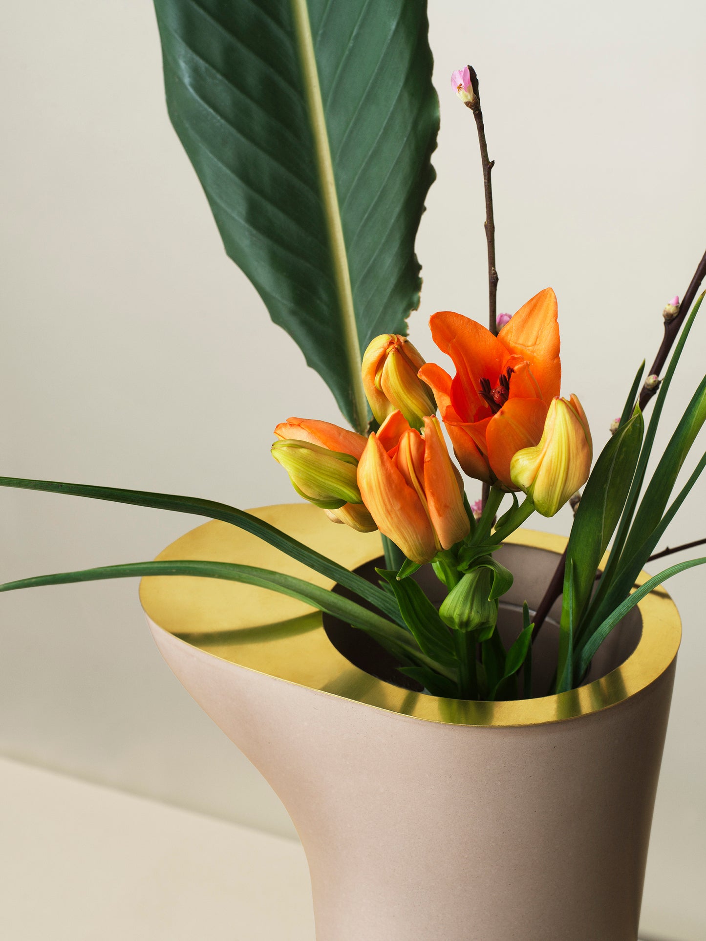 Rocky Root - Flower Table - Moisty Oyster